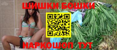 прущие грибы Новозыбков