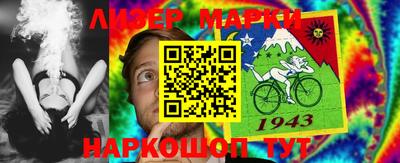 прущие грибы Новозыбков