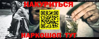 прущие грибы Новозыбков